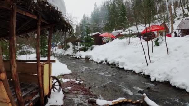 Gebirgsfluss Hintergrund Des Waldes Wasserfall Nordhang Des Polonina Borzhava Massivs — Stockvideo