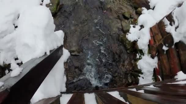 Mountain River Background Forest Waterfall Northern Slopes Polonyna Borzhava Mountain — Vídeos de Stock