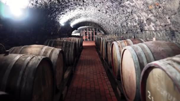 Ruang Bawah Tanah Dengan Anggur Tong Oak Anggur Merah Dalam — Stok Video