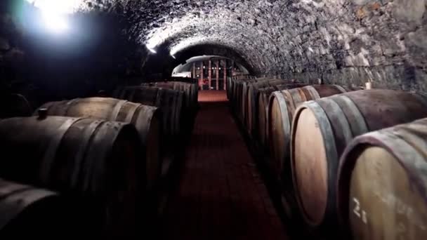 オーク樽でワインとセラー オーク樽の赤ワイン 自家製ワインを作る 樽で熟成させるワイン 地下室だ アルコール飲料 — ストック動画
