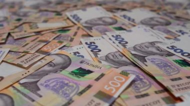 Ukrayna para birimi. 500 Hryvnia 'nın mezhebi. Büyük para. Ukrayna Merkez Bankası. Para birimi. Bir sürü Ukrayna parası. 500 hryvnia