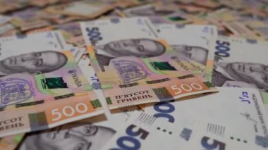 Ukrayna para birimi. 500 Hryvnia 'nın mezhebi. Büyük para. Ukrayna Merkez Bankası. Para birimi. Bir sürü Ukrayna parası. 500 hryvnia