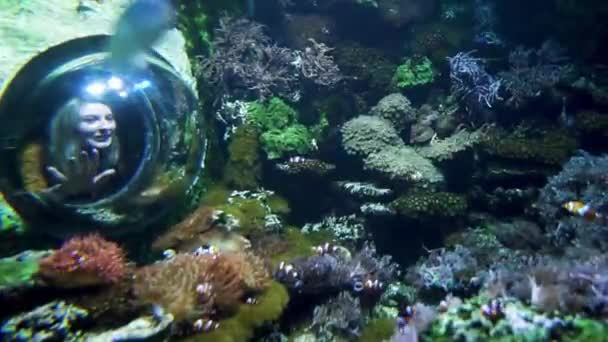 Acuario Budapest Hungría Tropicarium Oceanarium Budapest Mundo Del Agua Rica — Vídeo de stock