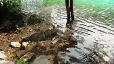 Hırvatistan 'daki Plitvice Gölleri Ulusal Parkı' ndaki gölde su altında bir yılan. Yedek Plitvice Gölleri. Yüksek miktarda kalsiyum karbonat. Hırvatistan 'daki ulusal park. Hırvatistan 'da Dolomite Vadisi