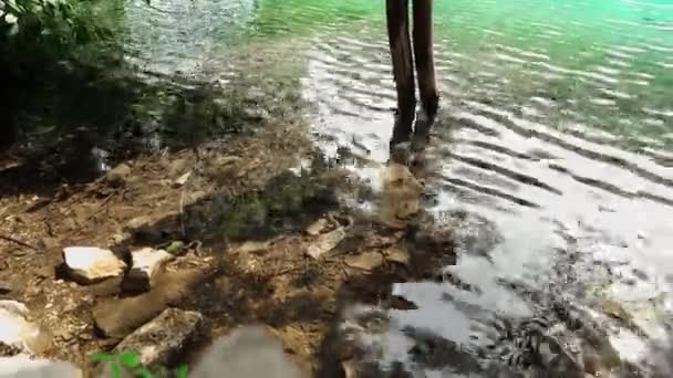 Змея Водой Озере Национальном Парке Плитвицкие Озера Хорватии Резерв Плитвицкие — стоковое видео