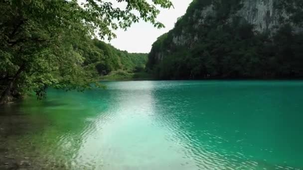 Nationalpark Plitvicer Seen Kroatien Reserve Plitvicer Seen Hoher Gehalt Calciumcarbonat — Stockvideo