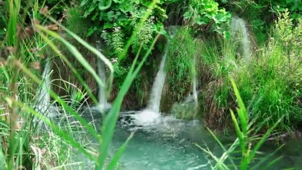 Wodospad Jeziorach Plitwickich Chorwacji Park Narodowy Jezior Plitwickich Chorwacji Rezerwat — Wideo stockowe