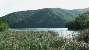 Hırvatistan 'daki Plitvice Lakes Ulusal Parkı. Yedek Plitvice Gölleri. Yüksek miktarda kalsiyum karbonat. Hırvatistan 'daki ulusal park. Şelaleler ve kireçtaşı kanyonuyla birbirine bağlı 16 gölden oluşan bir şelale..
