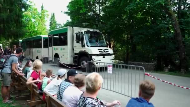 Een Elektrisch Transport Dat Toeristen Vervoert Dat Door Het Nationaal — Stockvideo