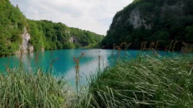 Hırvatistan 'daki Plitvice Lakes Ulusal Parkı. Yedek Plitvice Gölleri. Yüksek miktarda kalsiyum karbonat. Hırvatistan 'daki ulusal park. Şelaleler ve kireçtaşı kanyonuyla birbirine bağlı 16 gölden oluşan bir şelale..