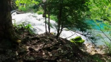 Hırvatistan 'daki Plitvice Lakes Ulusal Parkı. Yedek Plitvice Gölleri. Yüksek miktarda kalsiyum karbonat. Hırvatistan 'daki ulusal park. Şelaleler ve kireçtaşı kanyonuyla birbirine bağlı 16 gölden oluşan bir şelale..