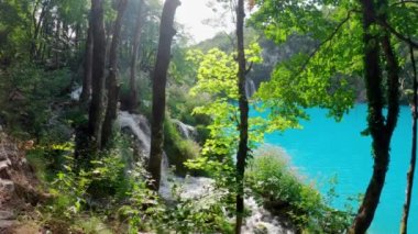 Hırvatistan 'daki Plitvice Lakes Ulusal Parkı. Yedek Plitvice Gölleri. Yüksek miktarda kalsiyum karbonat. Hırvatistan 'daki ulusal park. Şelaleler ve kireçtaşı kanyonuyla birbirine bağlı 16 gölden oluşan bir şelale..