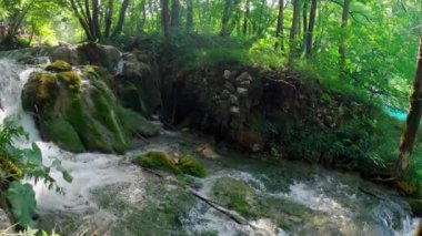 Hırvatistan 'daki Plitvice Lakes Ulusal Parkı. Yedek Plitvice Gölleri. Yüksek miktarda kalsiyum karbonat. Hırvatistan 'daki ulusal park. Şelaleler ve kireçtaşı kanyonuyla birbirine bağlı 16 gölden oluşan bir şelale..