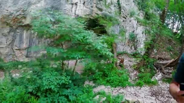 Пещера Плитвицких Озерах Хорватии Национальный Парк Плитвицкие Озера Хорватии Резерв — стоковое видео