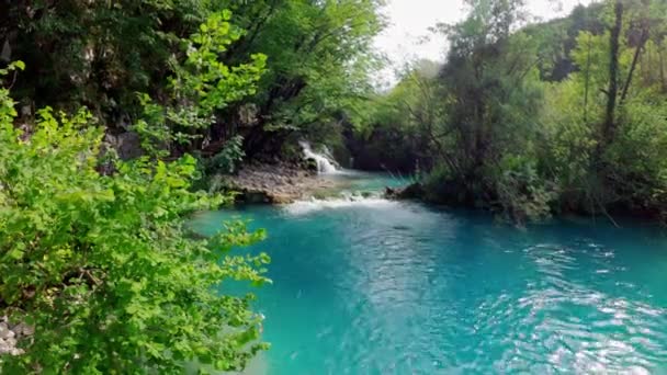 Plitvicei Tavak Nemzeti Park Horvátországban Tartalék Plitvicei Tavak Magas Kalcium — Stock videók