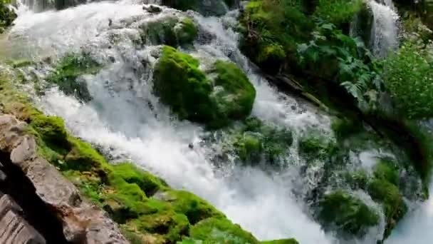 Parco Nazionale Dei Laghi Plitvice Croazia Riserva Laghi Plitvice Alto — Video Stock