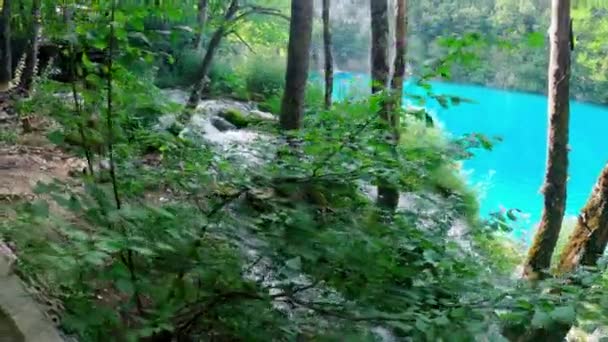 Национальный Парк Плитвицкие Озера Хорватии Резерв Плитвицкие Озера Высокое Содержание — стоковое видео