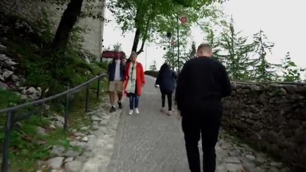 Bled Kasteel Slovenië Een Kasteel Een 130 Meter Hoge Klif — Stockvideo