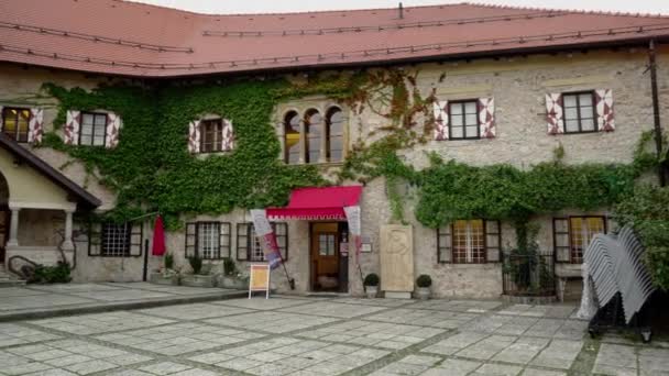 Slovenya Kalesi Bled Kasabası Yakınlarındaki Blaisky Gölü Kıyısındaki 130 Metrelik — Stok video