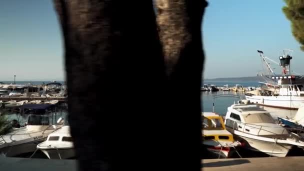 Mooie Jachten Pier Haven Van Adriatische Zee Het Dorp Brela — Stockvideo