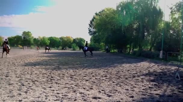 Equestrian Competitions Northern Europe Young Girls Compete Equestrian Sports Horse — Stock Video