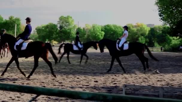 Competições Equestres Norte Europa Raparigas Competem Esportes Equestres Competições Equitação — Vídeo de Stock