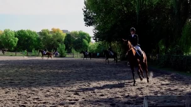 Pferdewettbewerbe Nordeuropa Junge Mädchen Messen Sich Pferdesport Reitturniere Der Ukraine — Stockvideo