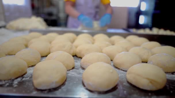 Aşçı Mutfakta Pişmiş Yiyecekler Yapıyor Bir Kız Hamurdan Çörek Yapar — Stok video