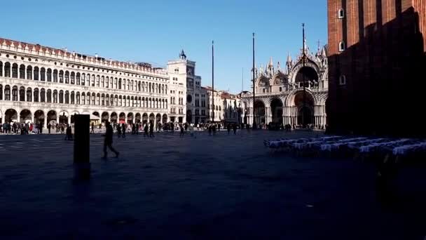 Musée Civique Correr Venise Italie Majestueux Musée Art Correr Sur — Video