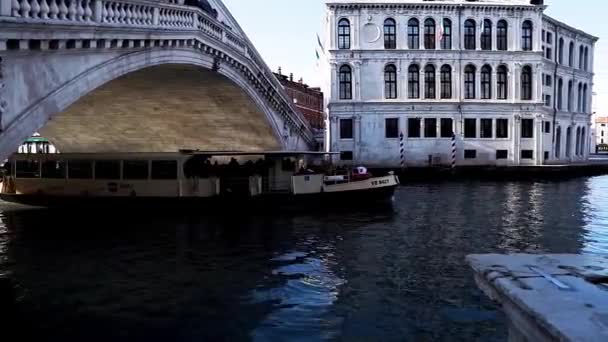 Rialto Bridge Venice Italy Bridge Canal Venice Rialto Bridge Grand — Stock Video
