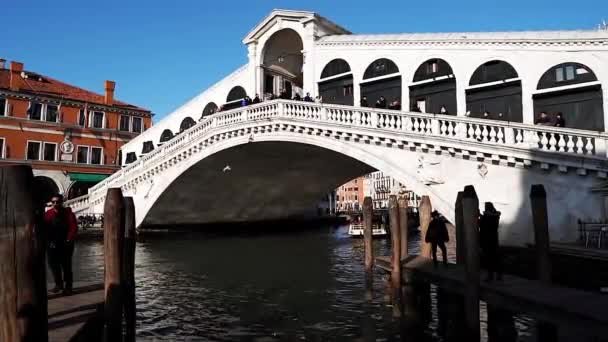 Puente Rialto Venecia Italia Puente Sobre Canal Venecia Puente Rialto — Vídeos de Stock