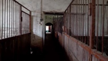 Ukrayna 'da bir çiftlikte atları olan bir ahır. Parmaklıkların arkasında kahverengi at. Kuzey Avrupa 'da bir çiftlikte kahverengi atlar. Kırsal kesimde evcil hayvan.