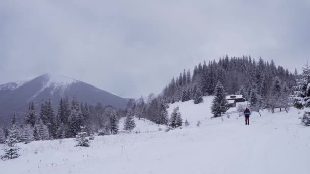 Hóval Borított Dombok Öreg Faház Karácsonyfák Hogy Egy Gyönyörű Környezetben — Stock videók