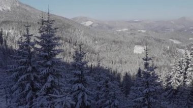 Karla kaplı tepeler ve vahşi ormanlar ve maceraya giden derin bir yürüyüş yolu.