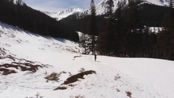 Young Woman Group Friends Hike Snow Covered Trail High Mountains — Stock Video