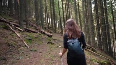 Dağ ormanında tepeye tırmanan genç bir adam. Koyu renk saçları, spor direkleri, siyah giysileri ve küçük bir sırt çantası var. Kamera konuyu takip ediyor