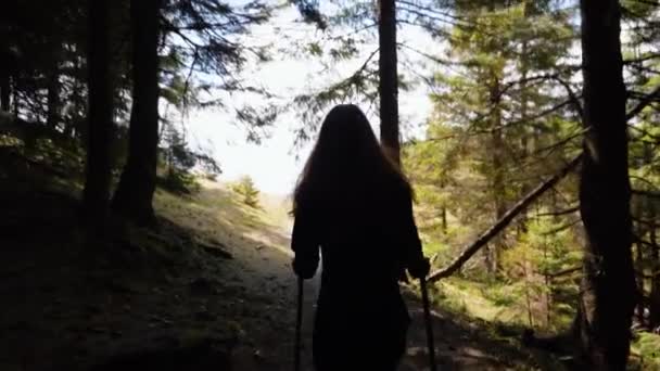 年轻的女登山者走出黑暗的树林 在她面前发现了被雪覆盖的美丽的山脉 摄影机跟着她 — 图库视频影像