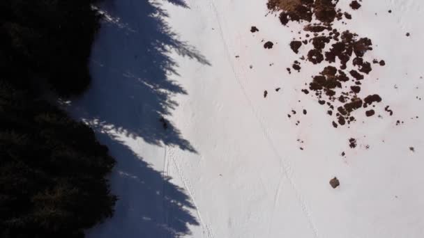 Najlepsze Zdjęcia Lotnicze Pięknego Strumienia Lasu Wiosennym Słońcu Gdy Śnieg — Wideo stockowe