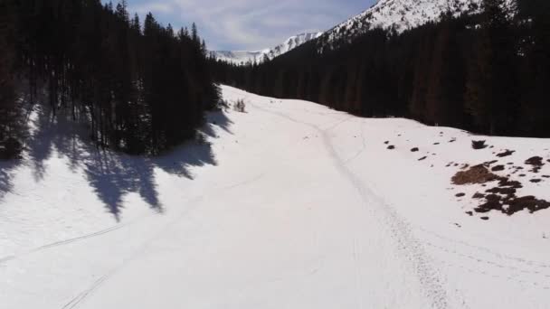 Drónrepülés Havas Túraútvonalon Alpinista Léptekkel Erdőben Egy Napsütéses Napon — Stock videók