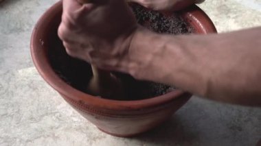 Elle öğütülmüş organik haşhaş tohumları, kilden bir kilde ahşap bir tokmağı olan bir Doğu Avrupa Noel yemeği için yavaş hareket ettiriyor. Ukrayna 'dan özgün klasik yemek tarifi.
