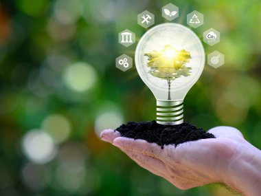  Yenilenebilir enerji üzerine kurulu sürdürülebilir kalkınma ve işletme için ikonlar içeren doğaya karşı ampul. Karbondioksit salınımı konseptini azalt. yenilenebilir enerjiye dayalı yeşil iş.