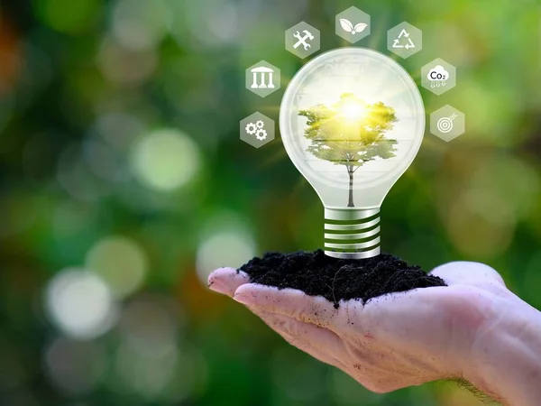 light bulb against nature with icons energy sources for renewable Sustainable development and business based on renewable energy. Reduce CO2 emission concept. green business based on renewable energy.