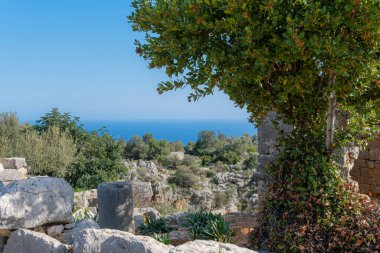 Tarihsel kalıntılar arasında aydınlatılan ağaçlar, kayalar ve doğadan oluşan barışçıl bir manzara dingin bir güzellik ortamı yaratır. Turkeyi Mersin.