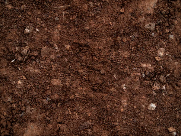 Zbliżenie Ziemi Kamienna Gleba Wypełniająca Ramę — Zdjęcie stockowe