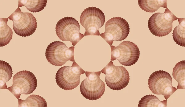Modèle Coquillages Placés Symétriquement — Photo