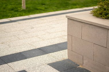 Minyatür süs ağacı. Arka planda süs ağacı. Çiçekler Çayırında Taze Gün.