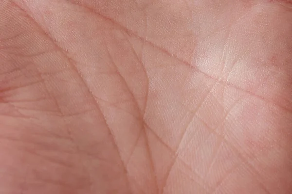 Makroaufnahme Der Hautoberflächenstruktur Menschlicher Handflächen Falten Körper Des Menschen Nahaufnahme — Stockfoto