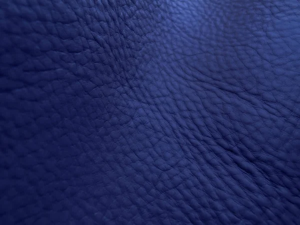 Grandi Pori Della Texture Pelle Blu Combinati Con Sua Splendida — Foto Stock