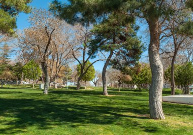 Doğada Huzurlu Bir Gün. Uçsuz bucaksız mavi gökyüzünün altında uzanan ağaçlar ve çimlerle süslenmiş yemyeşil bir malikanenin sakin bir sahnesi..