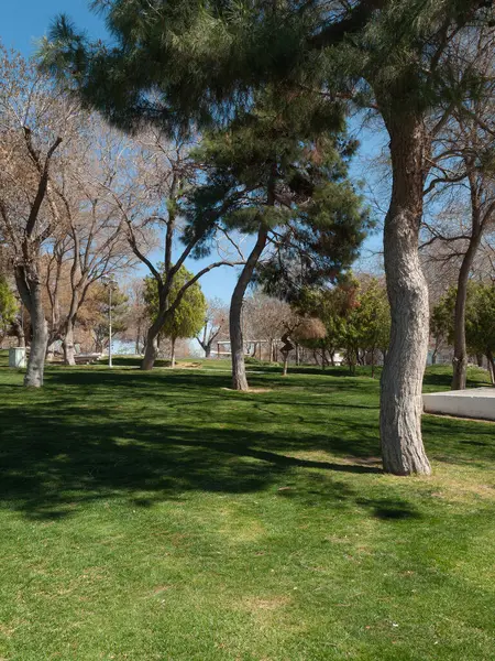 Şehir parkından sakin bir manzara. Yeşiller yemyeşil çimenler ve bakımlı ağaçlar şehir hayatından huzurlu bir kaçış sunuyor..